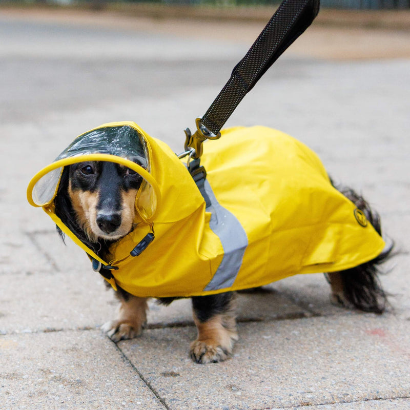 Raincoat Pro