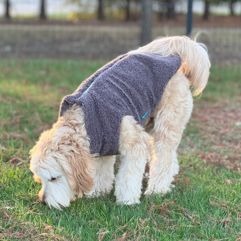 Sherpa Vest