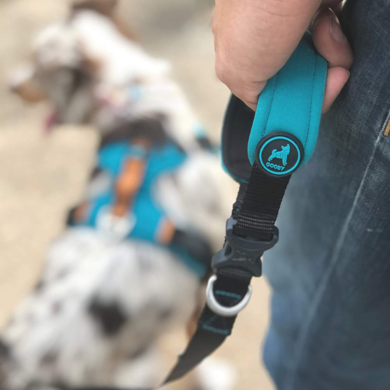 Sport Leash