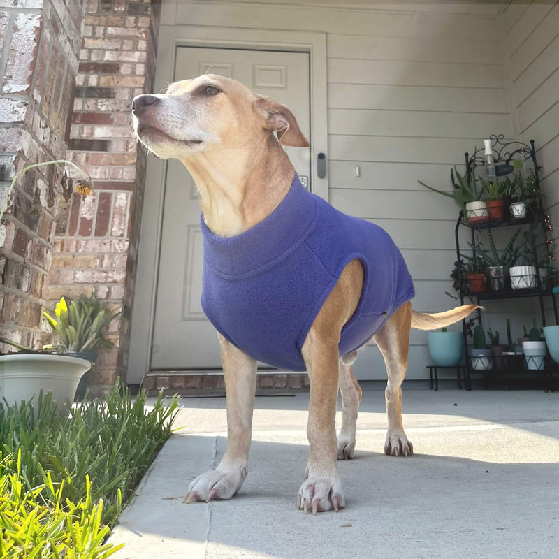 Stretch Fleece Earthy Tones