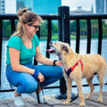 Kayla M. & Jarvis