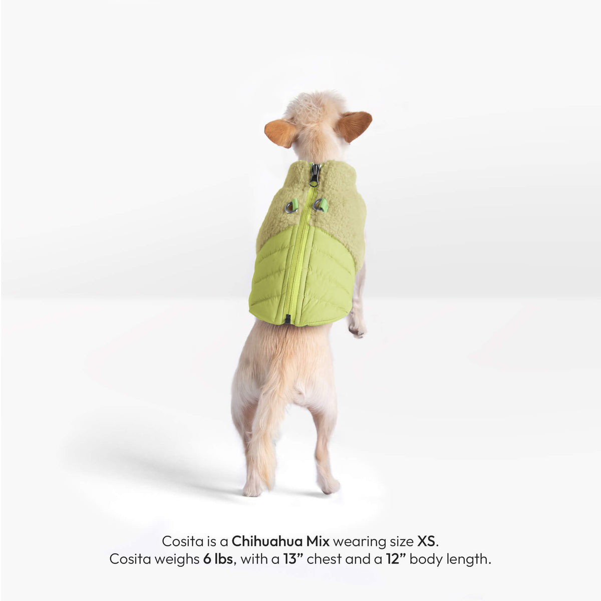Small dog wearing an avocado Sherpa Puffer Vest, shown from the back