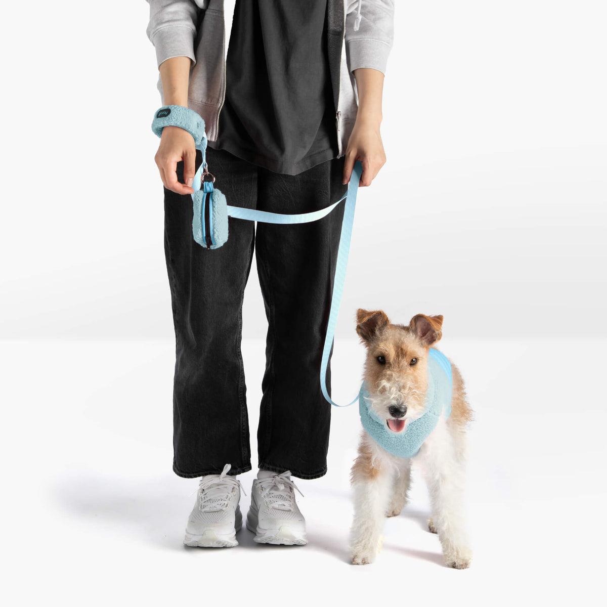 Person walking a dog wearing a light blue harness and matching leash