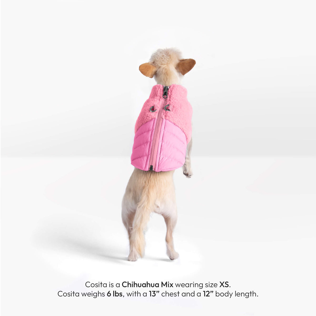 Small dog wearing a baby pink Sherpa Puffer Vest, shown from behind with fit details.