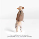 Back view of Cosita, a 6 lb Chihuahua mix, wearing a mocha Sherpa Puffer Vest in size XS.