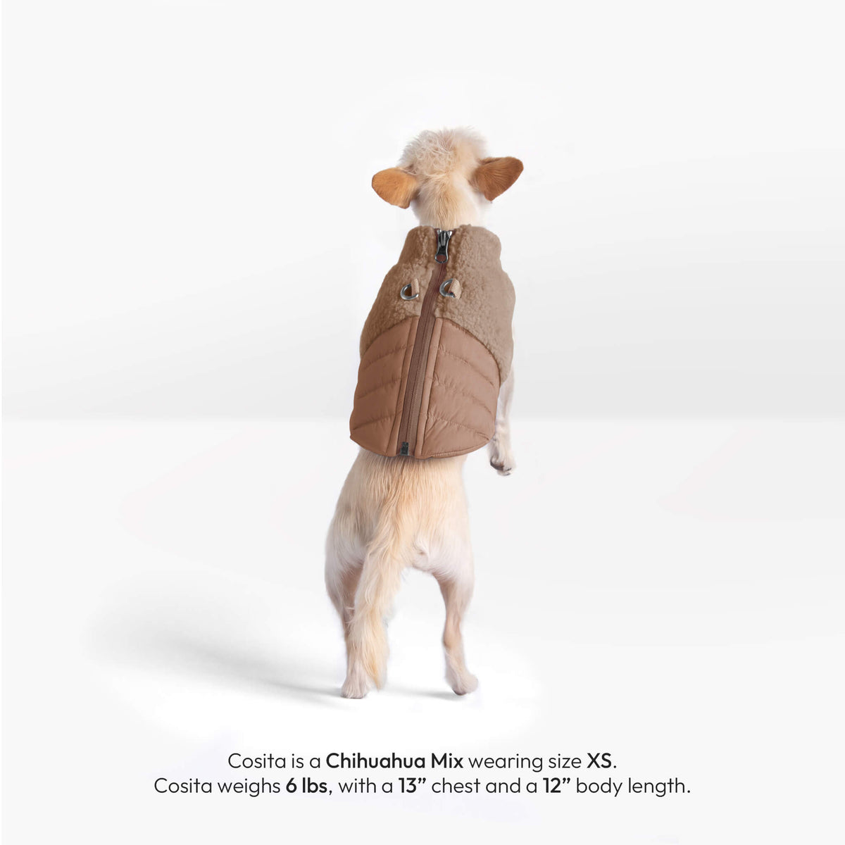 Back view of Cosita, a 6 lb Chihuahua mix, wearing a mocha Sherpa Puffer Vest in size XS.