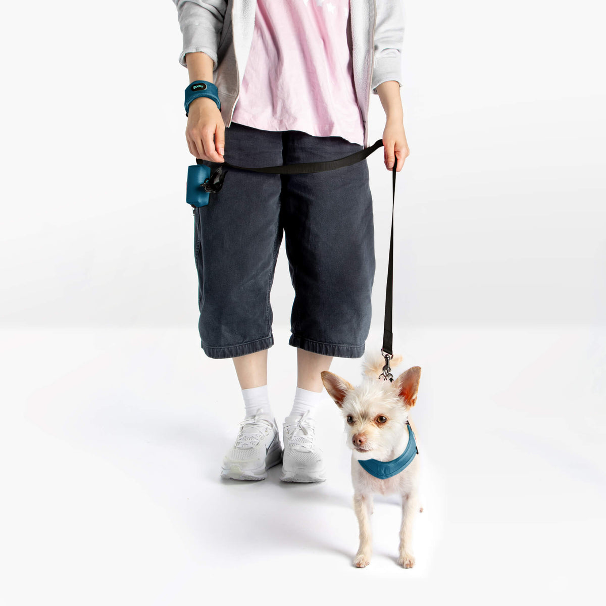 Person walking a small dog wearing a solid blue harness and leash set