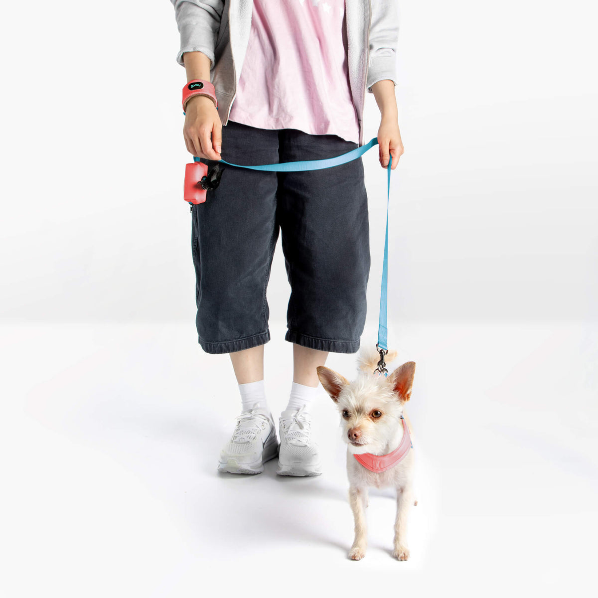 Person walking a small dog wearing a pink harness with a blue leash