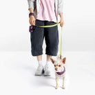 Dog wearing a purple step-in harness beside a person holding its leash