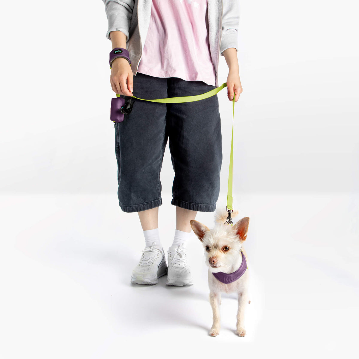 Dog wearing a purple step-in harness beside a person holding its leash