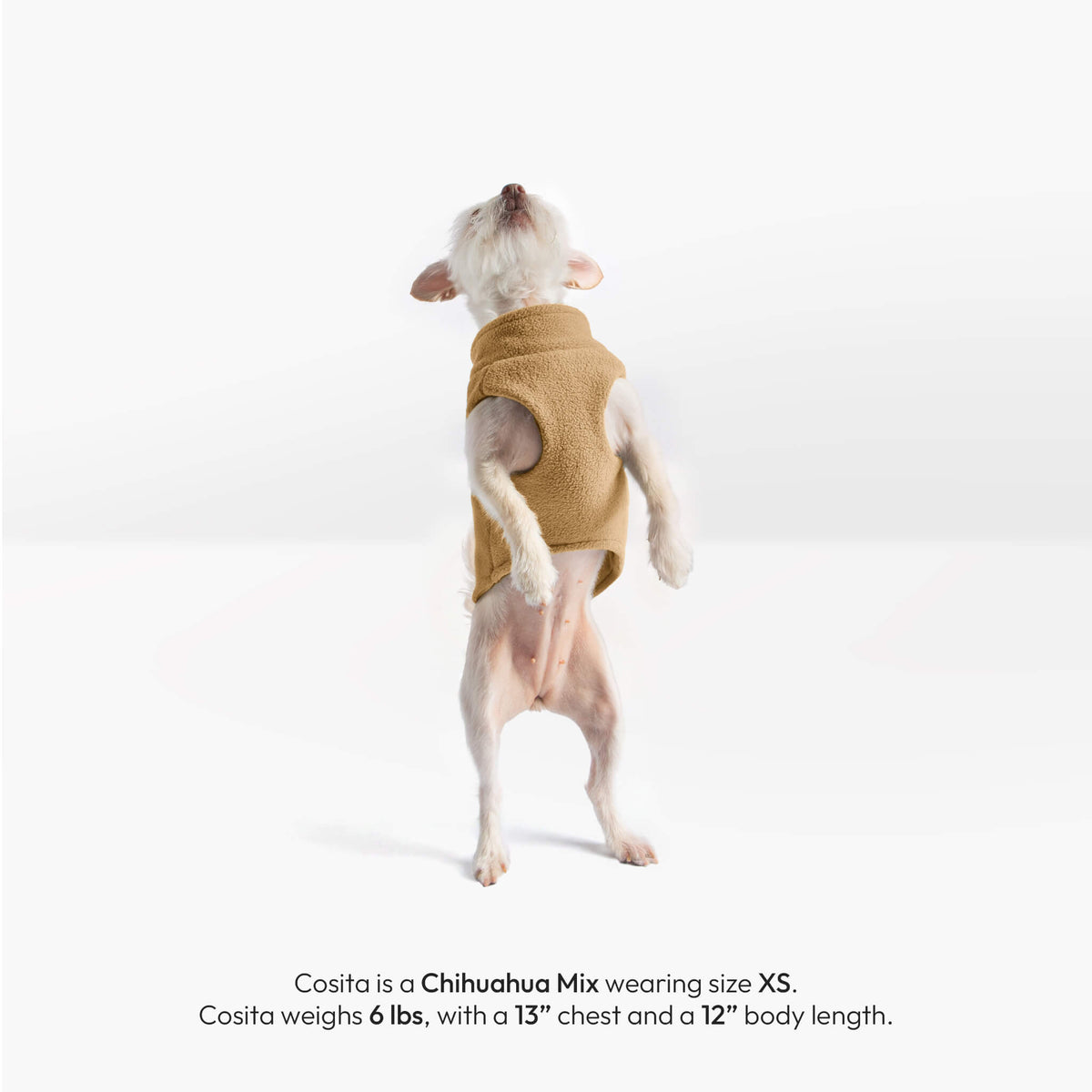 Small Chihuahua mix wearing a beige zip-up fleece vest, shown from behind.