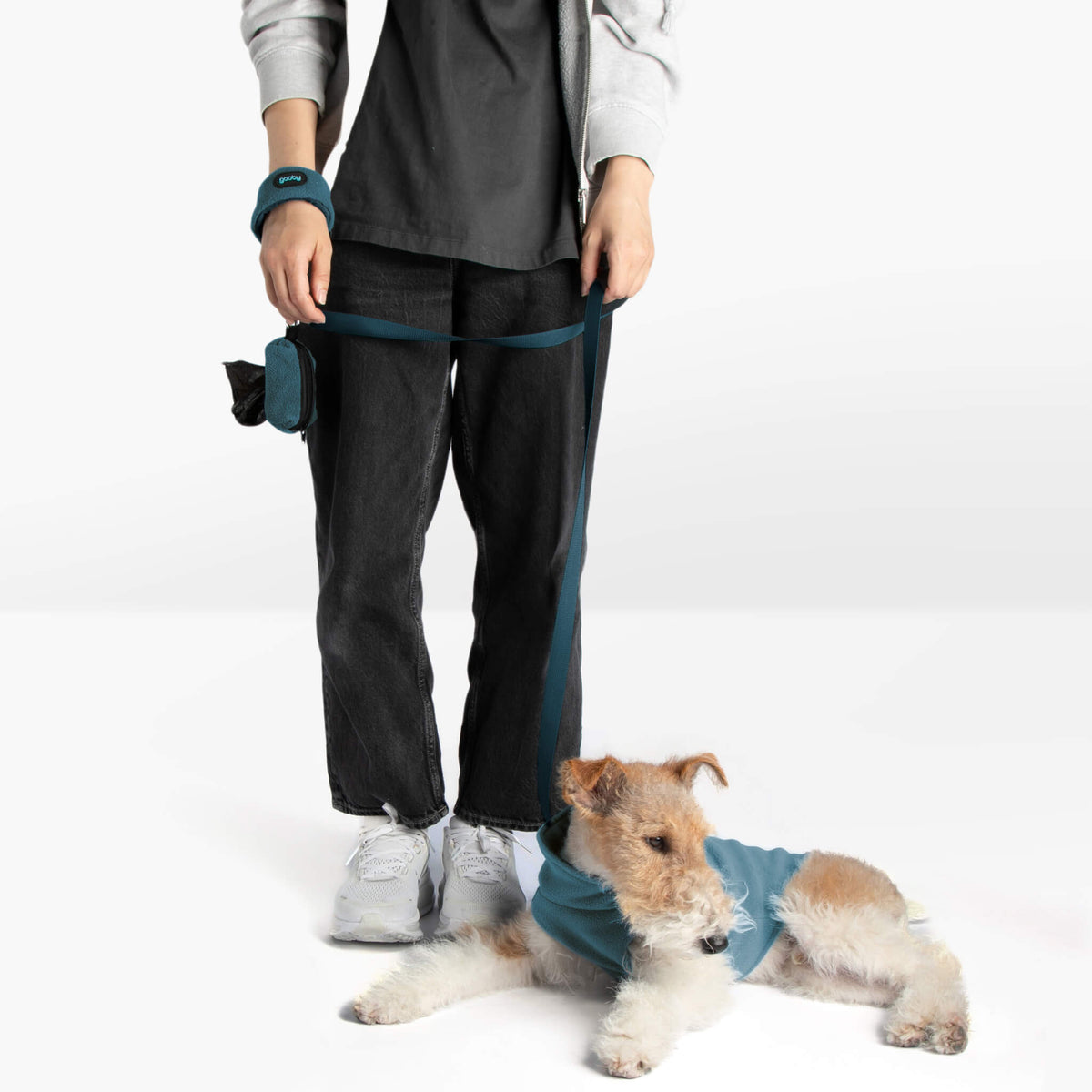 Person and wire-haired dog wearing a matching blue walking set