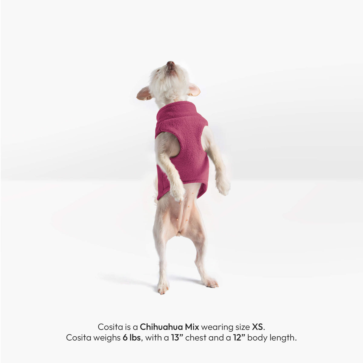 Small dog wearing a magenta zip-up fleece vest, shown from the back; Cosita wears size XS.