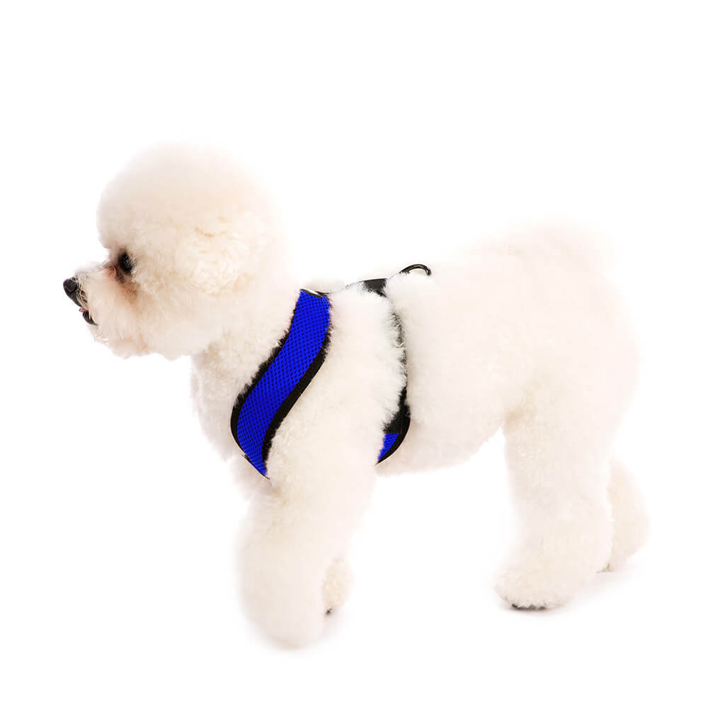 Buy Wholesale China Luxury Dog Harness,custom Multiple Sizes Circle Pattern Luxury  Dog Harness & Circle Dog Harness at USD 2.86