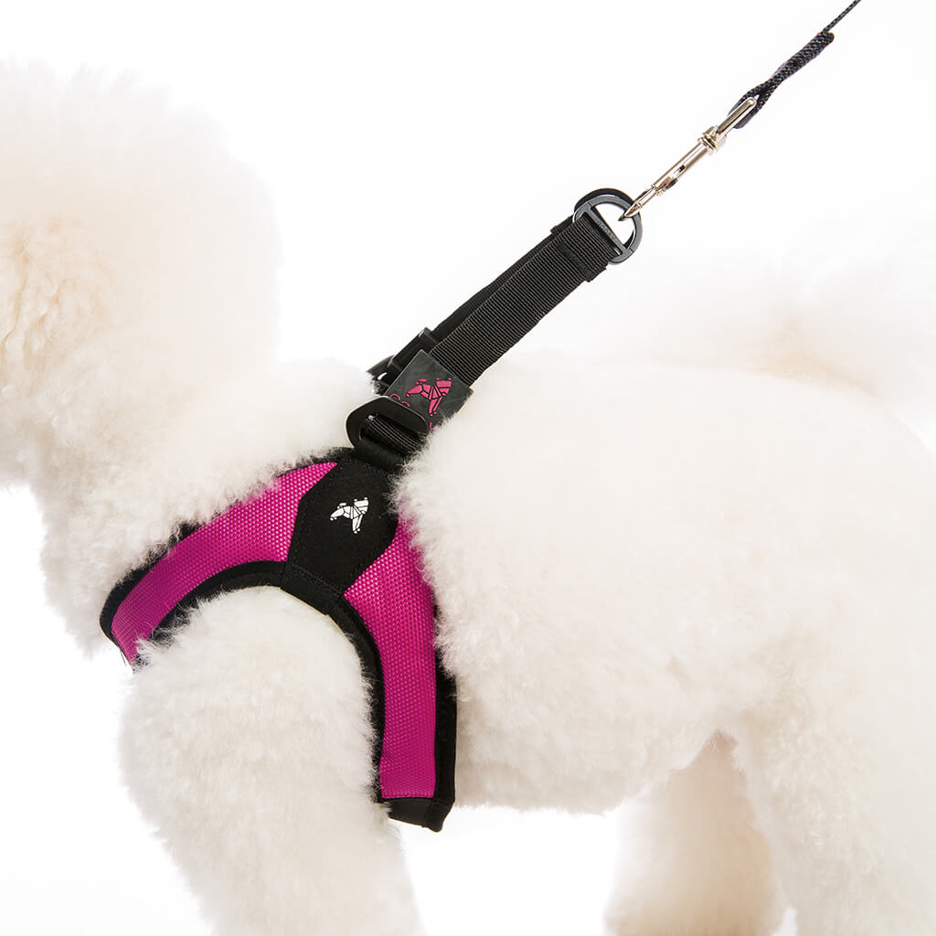 LV puppy harness, perfect fit harness leash