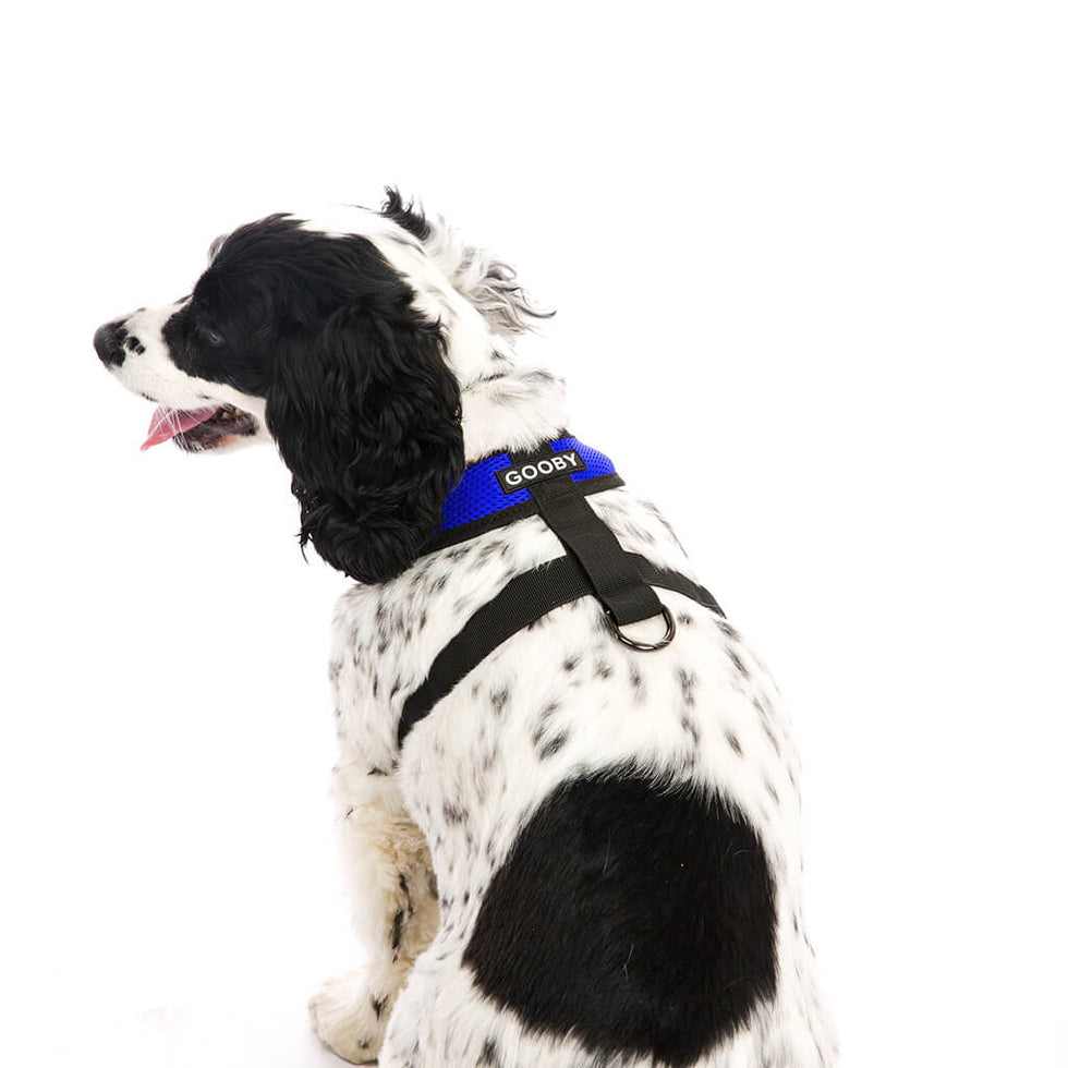 Comfort X Harness – Gooby