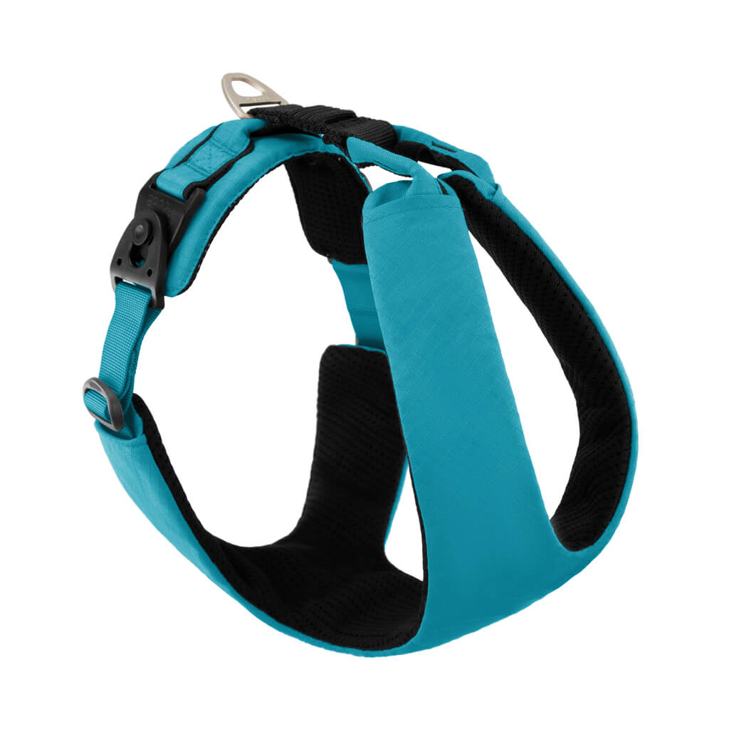 Black Dog Wear Y Front Tracking Harness