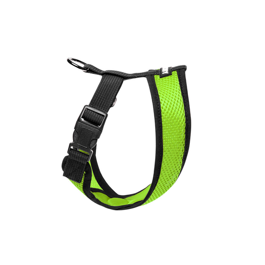 Extra-small pet collar in green and red fabric