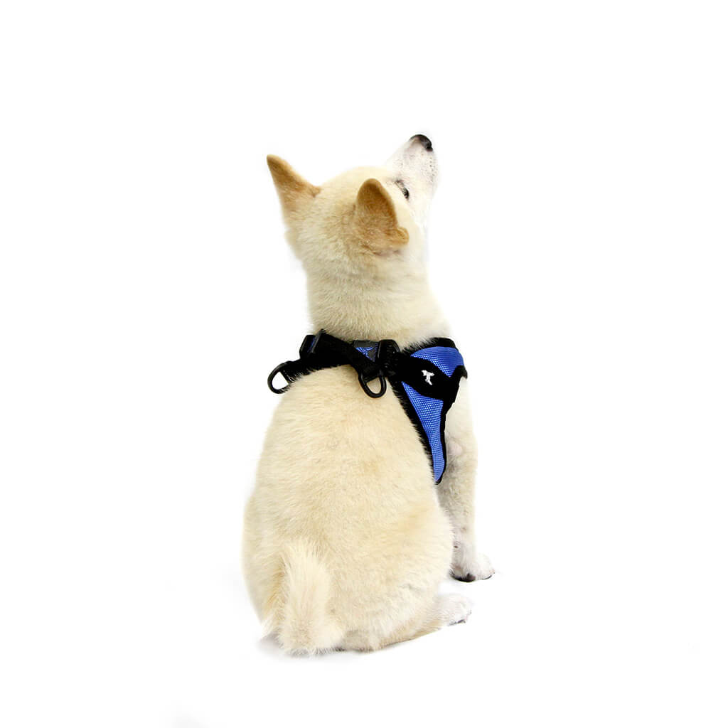 LV puppy harness, perfect fit harness leash